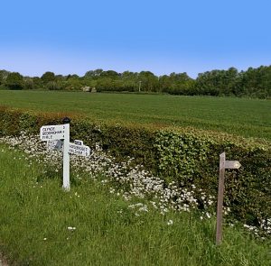 Picture of Glynde countryside