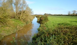 Picture of Glynde countryside